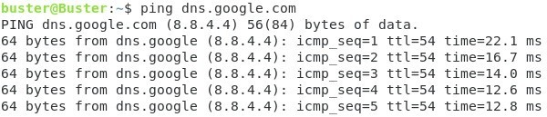 Screen – Příklad funkční komunikace s DNS