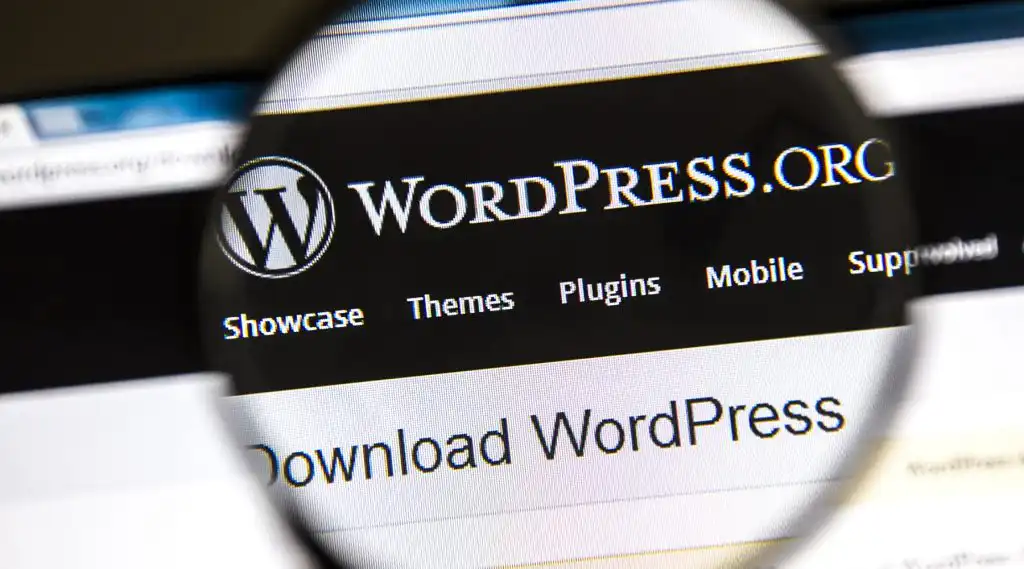 Wordpress je nejoblíbenější CMS.
