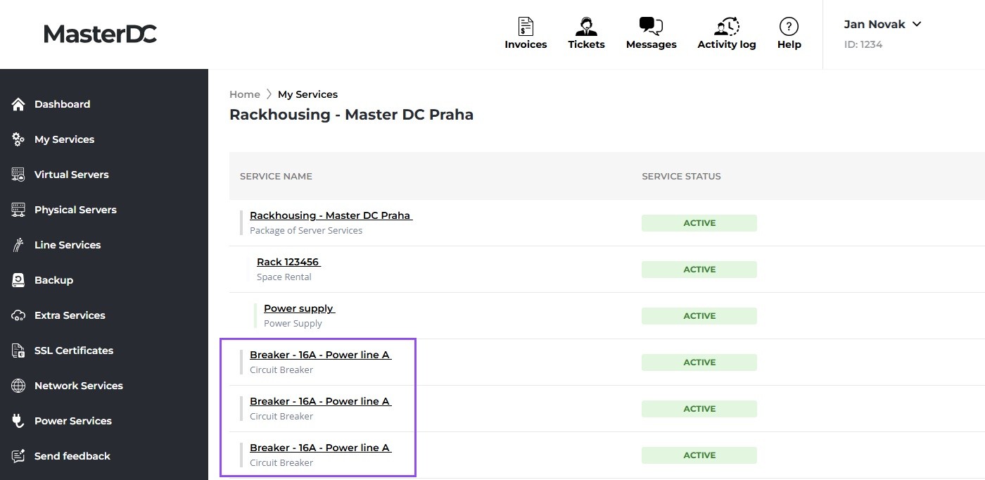 Screenshot of Customer Administration: information about power branch at the service tree level.