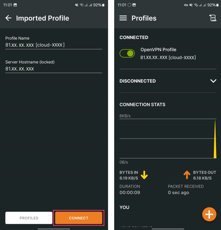 Screenshot zobrazuje finální připojení k síti přes OpenVPN.